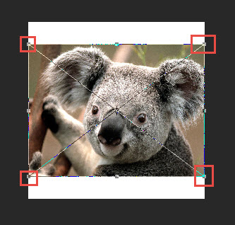 Cara menyesuaikan Gambar pada Ukuran Banner di Website dengan Photoshop