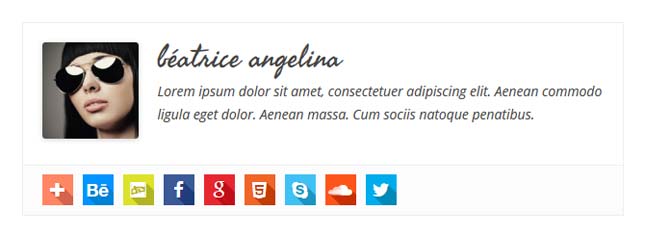 3-Plugin-Author-Box-Wordpress