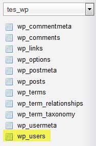 Cara-Mengganti-Password-Login-Wordpress-aulia4
