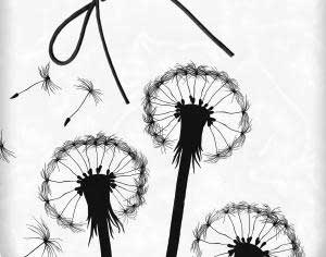 dandelion-flower-brushes