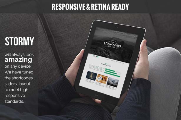 Free-Download-Stormy-Day-Responsive-WordPress-Template-1