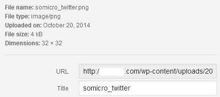 Membuat-Widget-Social-Media-di-Wordpress
