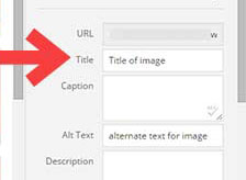 Perbedaan-Alt-Text-dan-Title-Image-Wordpress