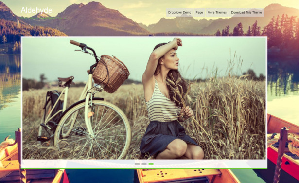Theme Wordpress Parallax Gratis