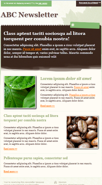 Free-Template-Email-Newsletter