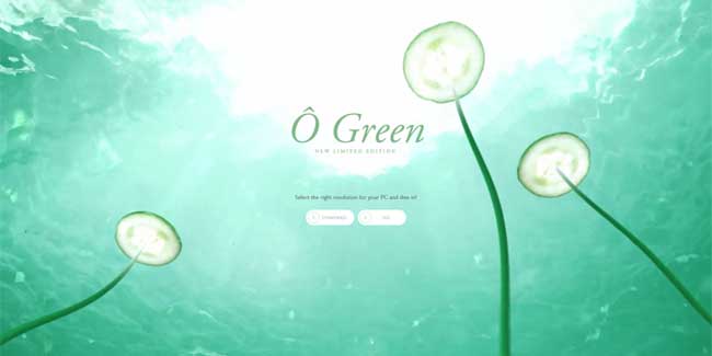 eco-style-web-design