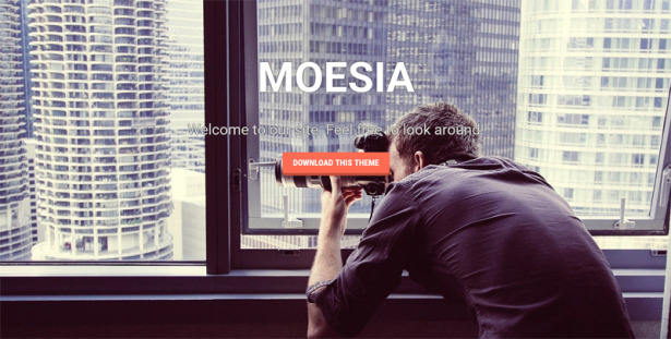 Theme Wordpress Parallax Gratis