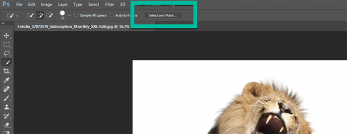 Select and Mask pada Photoshop