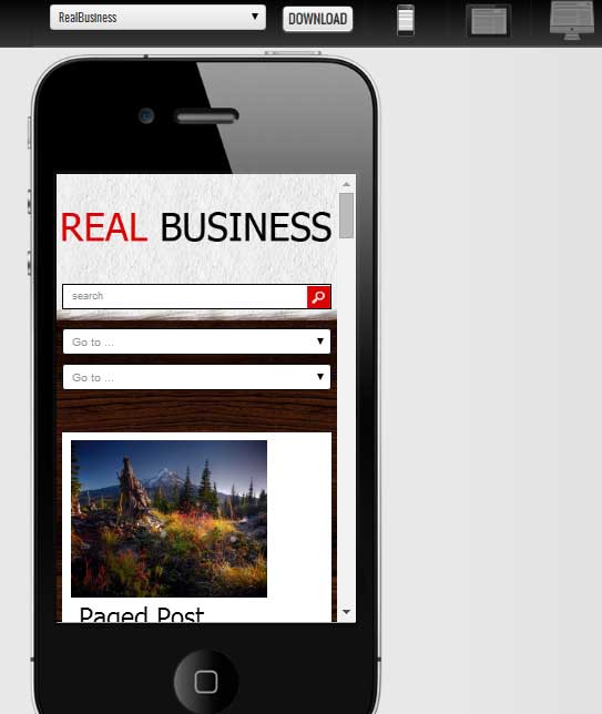 theme-wp