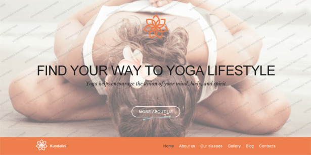 Theme Wordpress Parallax Gratis