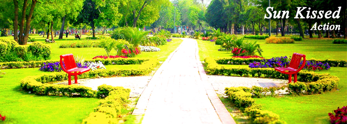 course image