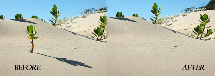 course image