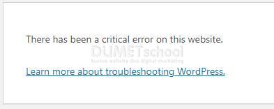 Cara Mengatasi There has been a critical error on this website di WordPress