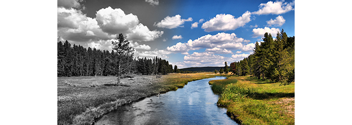 course image