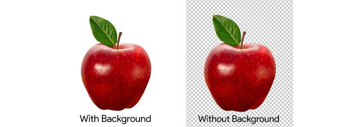 Cara Menghilangkan Background pada Gambar dengan Photoshop