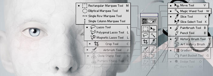 course image